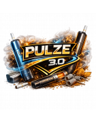 PULZE 3.0
